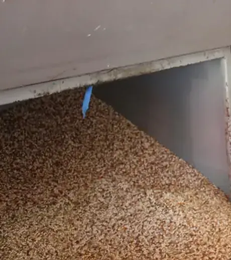 Grano para alimento de aves de corral en su depósito